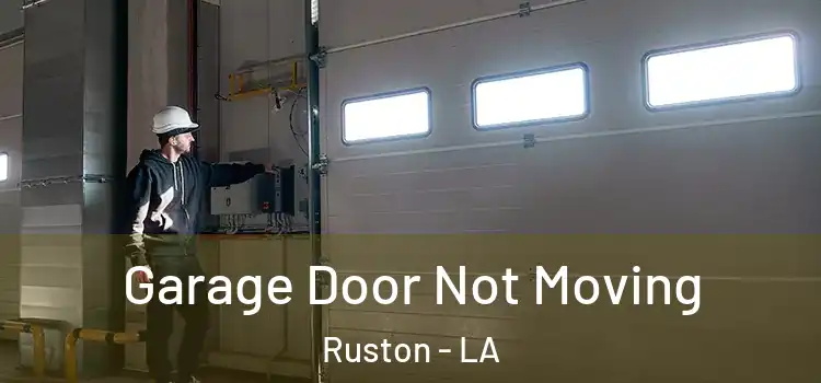  Garage Door Not Moving Ruston - LA