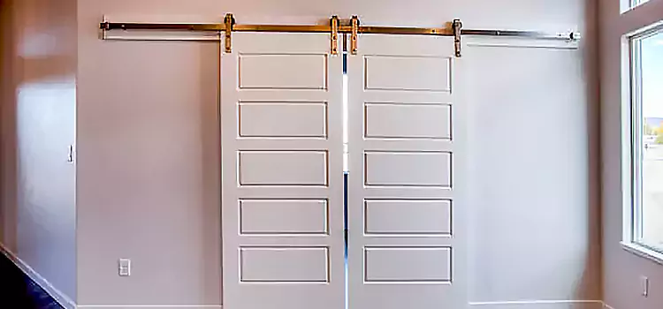 Glass Barn Door with Installation Hardware Kit Ruston